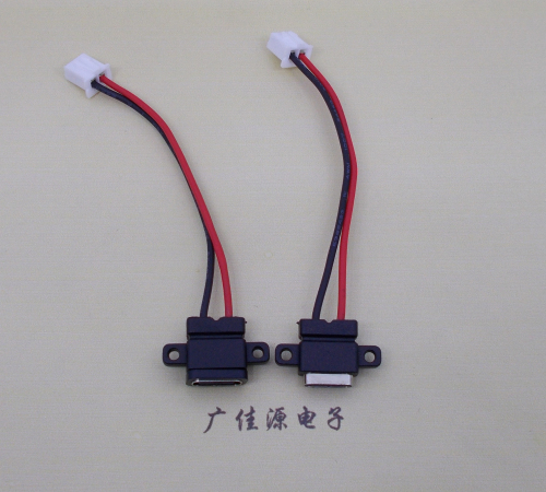 宿迁简易type c2p防水母座注塑成型带双螺丝孔焊线式带线带接线端子单充电功能