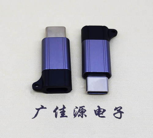 宿迁Type-C母转Type-C公 USB3.1 PD100W快冲接口